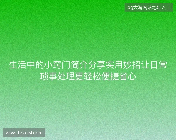 生活中的小窍门简介分享实用妙招让日常琐事处理更轻松便捷省心